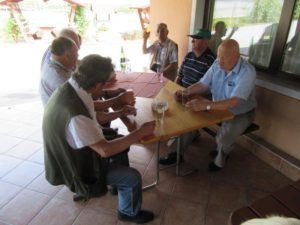 Vlakec po goricah