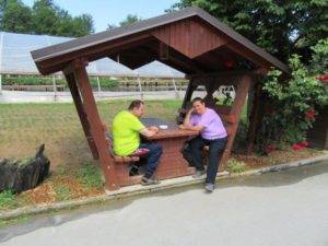 Vlakec po goricah