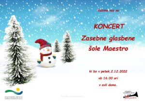 Koncert Zasebne glasbene šole Maestro