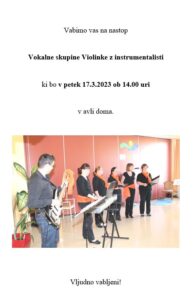 Vokalno instrumentalna skupina Violinke