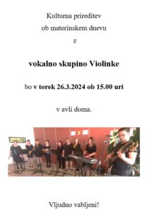 Violinke