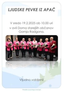 Slika Ljudskih pevk iz Apač